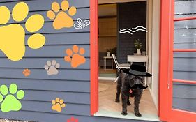 Cosy & Pet-Friendly Blackheath Studio 3